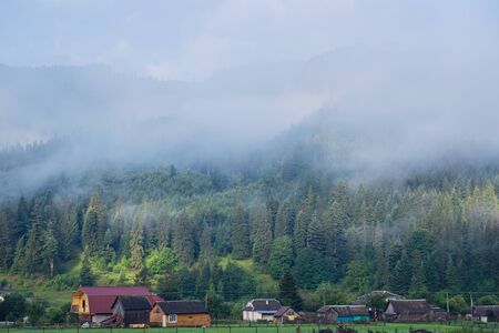 Foggy mountain village and green pine forest. Rural landscape with small wooden houses in the morning covered with cloudsの写真素材