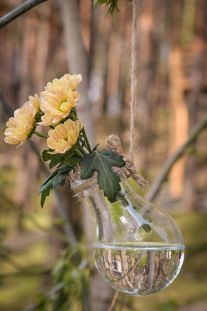 Decor from yellow flowers in a bulb. Wedding florist outdoors. Rustic style.の写真素材