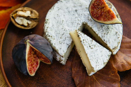 Craft organic aged cheese in herbs with fig and nuts, handcrafted camembert cheese, appetizer for romantic dinner bought on farmers marketの写真素材