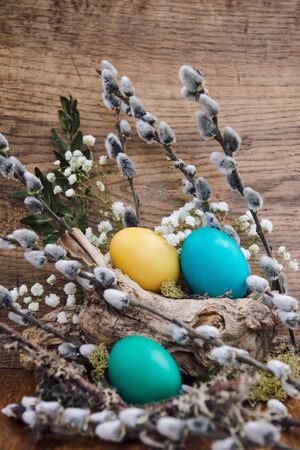 Spring Easter greeting card with colored eggs on branch with willow seals. Easter eggs decoration with flowers and natural materialsの写真素材