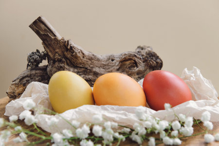 Decorated easter eggs with natural elements in nest (wood, moss). Colorful egg collection in spring....