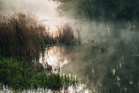 Mist and fog over the river, early morning, sun beams, sun rays on the water, mystery in the nature,...