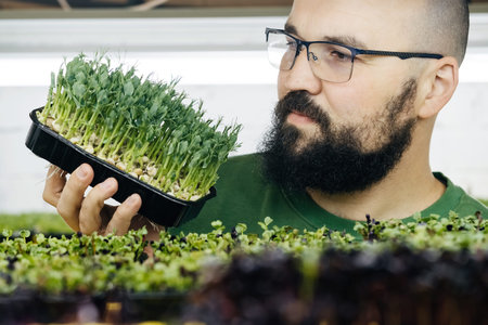 Young male farmer growing microgreens on his indoor vertical garden. Happy man looking after plants on shelfs. Close-up portrait of small business ownerの写真素材