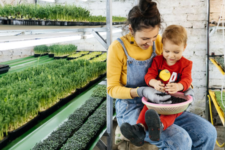 Woman with baby boy working on the indoor farm, planting microgreens. Choosing seeds and watering sprouts of fresh herbs on the shelf. Child learning about nature. agriculture and business with motherの写真素材