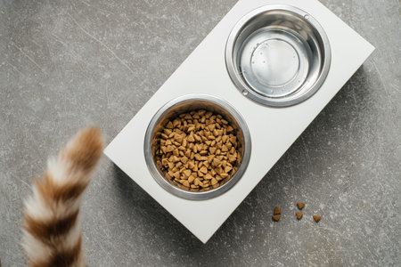 Pet dish on wood table. Modern trendy wood dish stand at home, cat feeder with food, top view. tailの写真素材