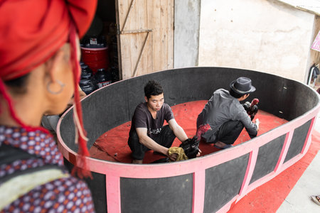 Sapa, Vietnam - April 15, 2016: Man cleaning gamecock. Fitness Thai gamecock. Rooster fight in Vietnam, gambling game in rural area on ringのeditorial素材