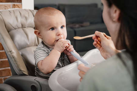Mother giving food to baby boy, pure from spoon in highchair at home. Complementary infant feeding. Happy kid waiting for meal, learning to eat purred vegetables and fruitsの写真素材