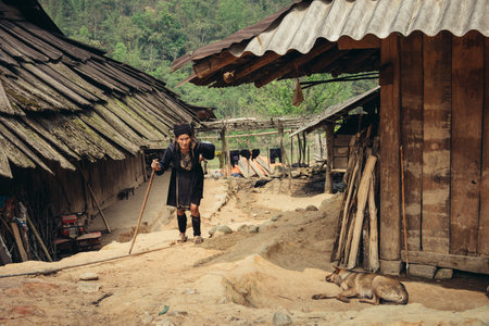 Sapa, Vietnam - April 14, 2016: Old vietnamese woman with stick near her house in the village near...