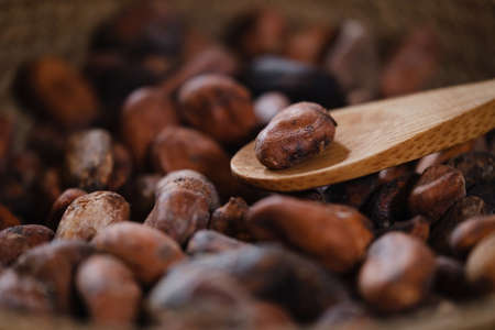 Close-up of organic cacao beans on wooden table, cocoa nibs. Handmade healthy drink. Peel of raw fermented seeds from South Americaの写真素材