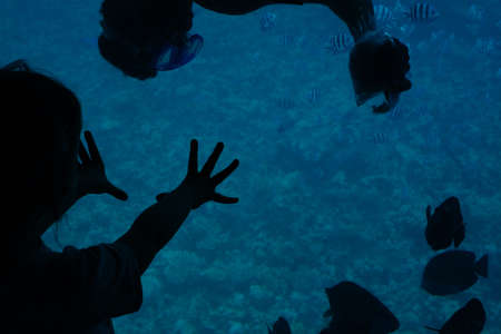 Sea panorama boat on the water with passengers watching fishes. Silhouettes against the background of turquoise water under a boat with a transparent bottom. Tourist on the bathyscaphe in the Red Seaの写真素材