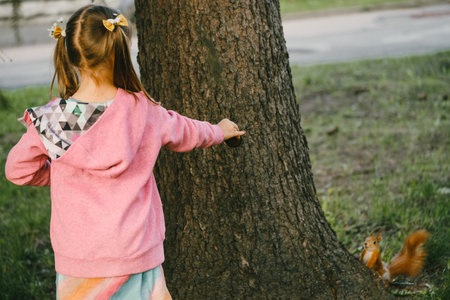 Child looking at squirrel in the park. Girl from the back, animal waiting for food. Nature observation and activities for kids. Curious squirrel on the treeの写真素材