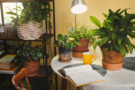 Reading place near houseplants. Green relax zone in the room with opened book and potted flowers. Nobody. Boho style. eco design in cozy house.の写真素材