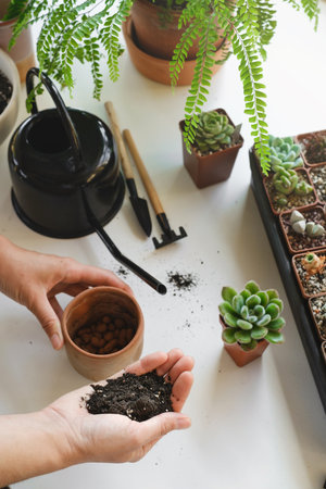 Put soil for plants in pot during repotting or transplantation of succulents in ceramic pot. Hand holding black soil. Top view. Home gardening hobby.の写真素材
