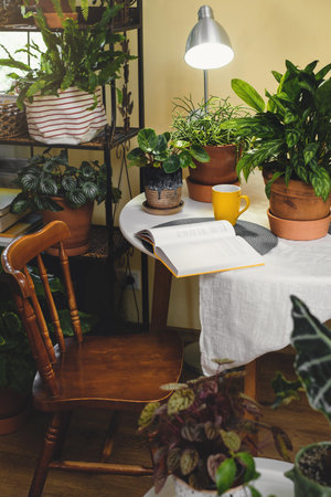 Green relax zone in the room with opened book and potted flowers. Reading place near houseplants. Nobody. Boho style. eco design in cozy house. Digital detox, no gadgetsの写真素材
