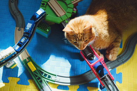 Funny cat laying on the toy railway road. Lazy ginger cat sitting on kids toys. Pats and children at home. Travel time dreamの写真素材