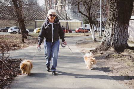 Senior woman walking in the city with two spitz dogs. Elderly lady with pets keeping her body healthy and fit at her 80th. Active old person dog lover taking care of mental healthの写真素材