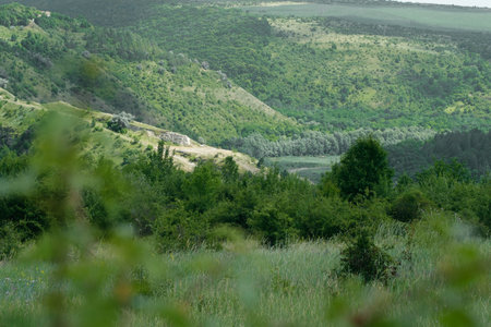 Scenic view of lush green valley and forest hills in summer