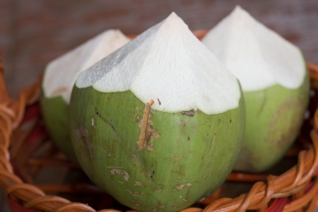 Yong coconutの写真素材