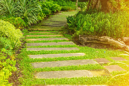 Pathway walkway in the park feel lonelyの写真素材