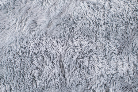 Closeup Grey Fur Rug