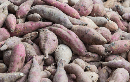 Heap of Sweet Potatoes in marketの写真素材