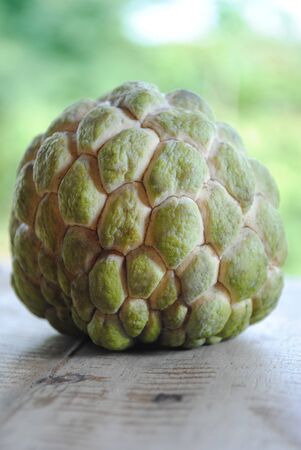 Noina fruitの写真素材