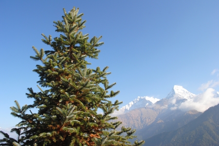 Annapurnaの写真素材