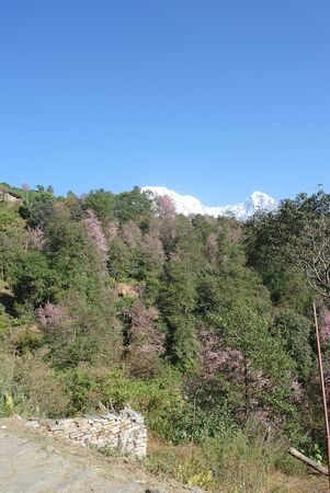 Natural of Grukduk Nepalの写真素材