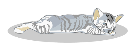 Grey sleepy tabby kitten lying down for take a napのイラスト素材