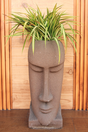 decoration vaseの写真素材