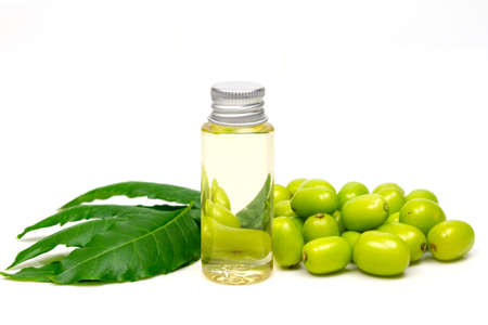 Neem oil in bottle and neem leaf and fruit isolated on white background. Neem oil is an excellent moisturizing oil and contains various compounds that have insecticidal and medicinal properties.の写真素材