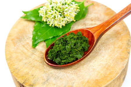 Medicinal Fresh Thai herb mashed neem on wooden spoon with neem leaves and flower on wooden background.の写真素材