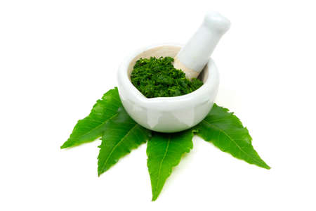 Medicinal Neem leaves in mortar and pestle white ceramic and neem leaf isolated on white background.の写真素材