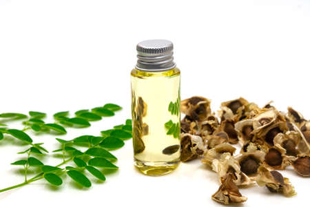 Oil of Moringa in bottle, green leaves and seeds isolated on white background. Moringa oleifera tropical herb product concept.の写真素材