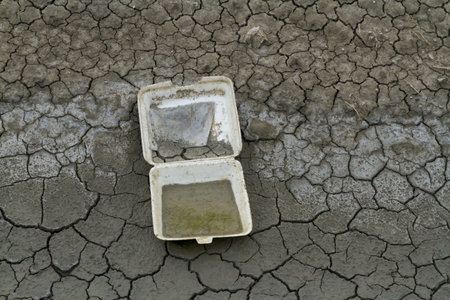 Foam food container on ground, Garbage environmental pollution in mangrove ecological problem.