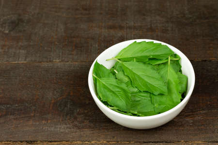 Tulsi or Holy basil leaf in white bowl on wooden background. Tulsi is used in ayurvedic medicine.の写真素材