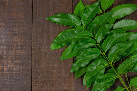neem leaf on wooden background, neem is an excellent moisturizing and contains various compounds...
