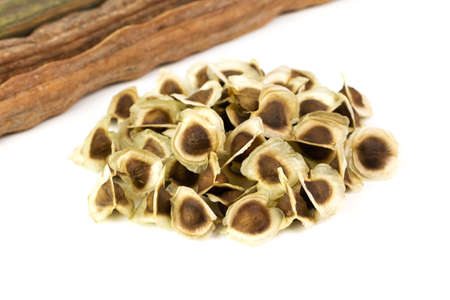 Pile of Moringa seed and moringa pods isolated on white background. The dried seeds in the pod are ready for propagate. Natural herbs can be extracted into oil for healthcare.の写真素材