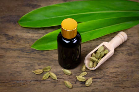 Cardamom essential oil in glass bottle with dry cardamom spice on wooden scoop and green leaf on rustic wooden background.の写真素材