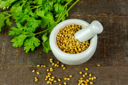 Coriander seeds on white mortar and pestle with green leaf on rustic wooden background, top view. Coriander seeds are a food ingredient and medicinal herbs.の写真素材