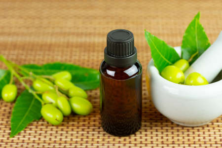 Neem oil in bottle and mortar and pestle white neem fruit on wooden mat.の写真素材