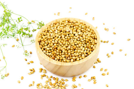 Coriander seeds on wooden bowl with flower isolated on white background. Coriander seeds are a food ingredient and medicinal herbs.の写真素材