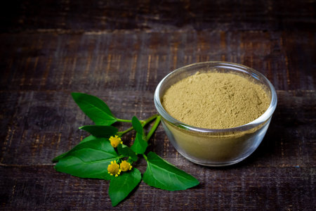 Acmella Oleracea, Paracress or Toothache plant powder in transparent bowl with flower and green leaf...