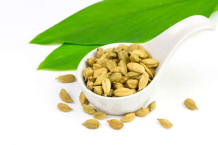 Green Cardamom on white bowl with green leaf and seed isolated on white background. Cardamom is a fragrant herb used as an ingredient for cooking.の写真素材