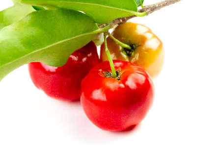 Acerola Cherry or Barbados Cherry with branch and leaf isolated on white background.の写真素材