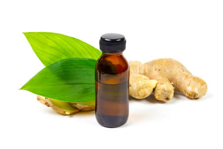 Ginger essential oil in bottle and fresh ginger with green leaf isolated on white background. The scientific name is zingiber officinale. Herbs for health care concept.の写真素材