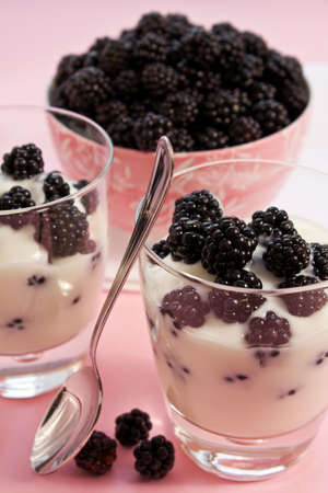 White yogurt with blackberries on pink backgroundの写真素材
