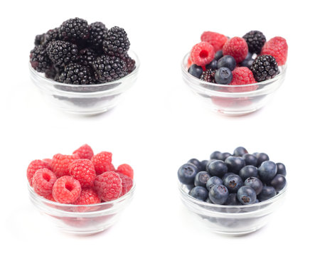Four pots of fresh blackberries isolated on white background 