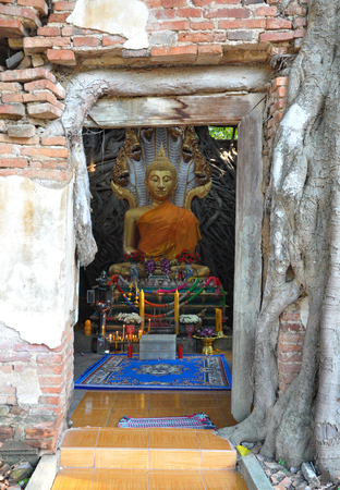 Buddha in ancient templeの写真素材