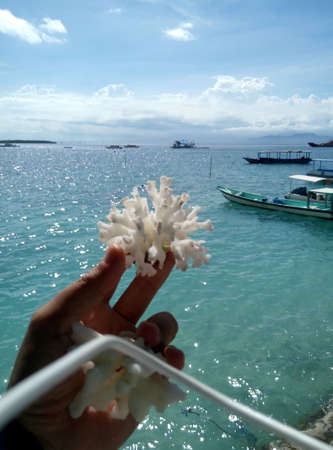 Beautiful White, Coral Bleaching on hands in Bali. Blue sky and blue sea. Rough White Spiny Coral Ocean Specimenの写真素材